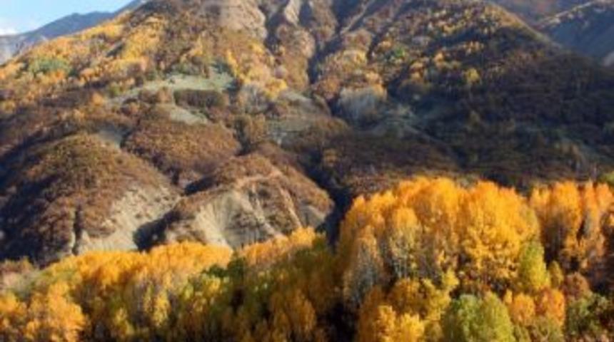 Tunceli'de Renk C&uuml;mb&uuml;ş&uuml;