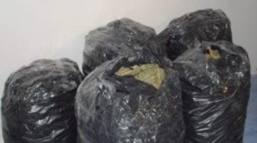 Siverek'te 61 Kilo Esrar Ele Ge&ccedil;irildi