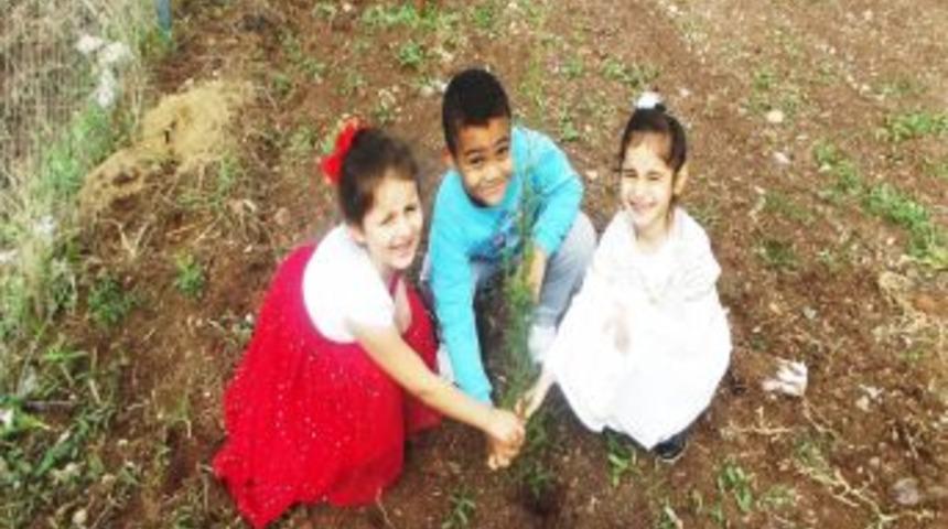 Minik Elleriyle Binlerce Ağaca Can Verecekler