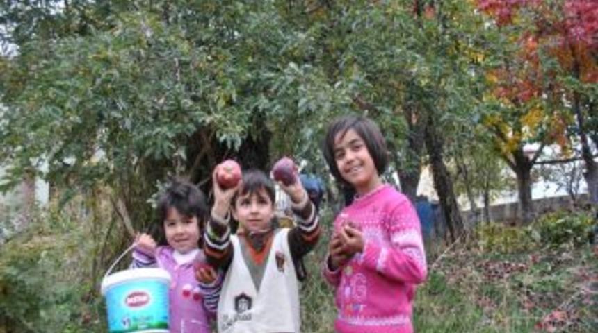 Tatvan&rsquo;da Kışlık Elma Hasadı Başladı
