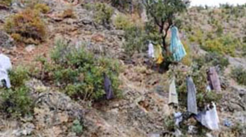 Ağaca gelinlik astı, kızlar duaya &ccedil;ıktı