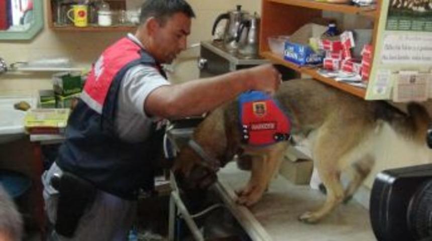 Hatay&rsquo;da Ka&ccedil;ak&ccedil;ılara Şafak Operasyonu