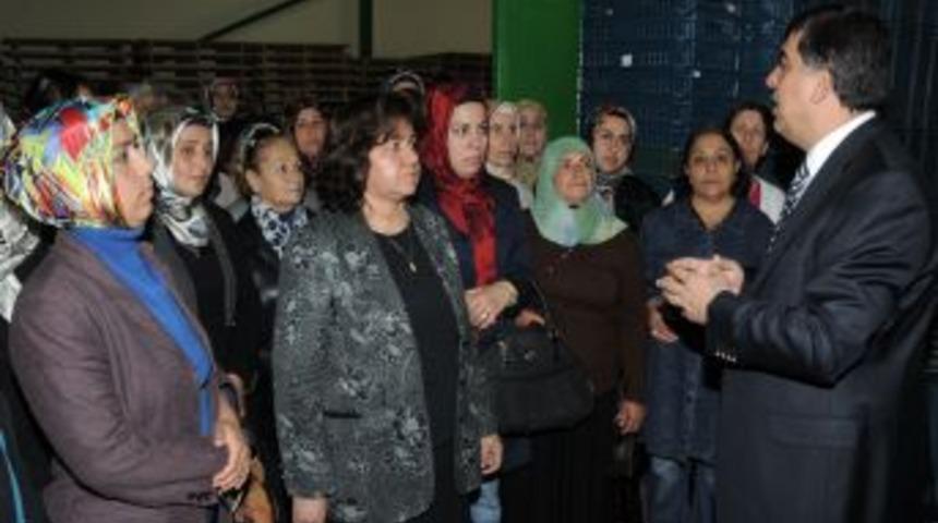 AK Parti'li Kadınlar, Şehitkamil&rsquo;in &Ccedil;alışmalarını Yerinde Inceledi