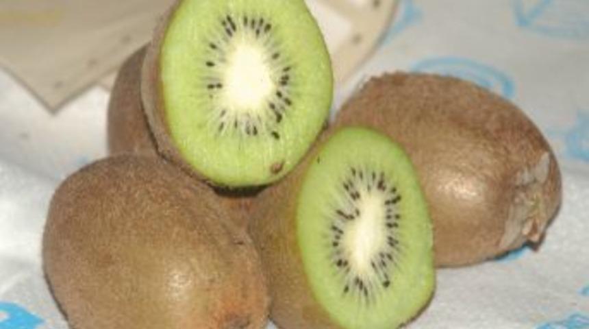 Rize'de Kivi Hasat Tarihi 15 Kasım Olarak Belirlendi