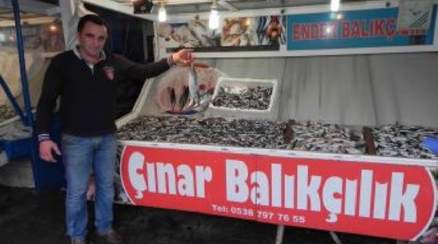 Balık Fiyatları Cep Yakıyor