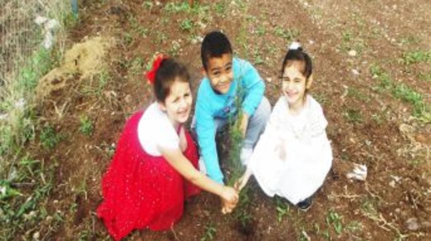 Minik Y&uuml;rekler 12 Bin Ağa&ccedil; Kurtaracak