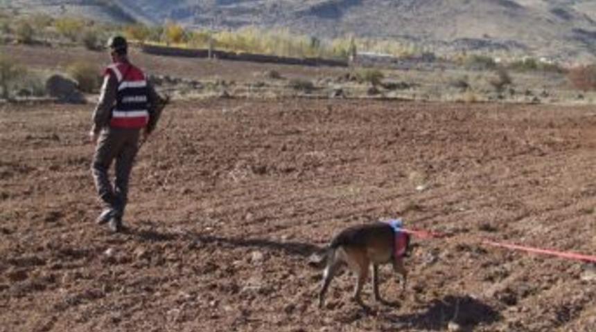 &Uuml;&ccedil; G&uuml;nde 70 Adet El Bombası Bulundu