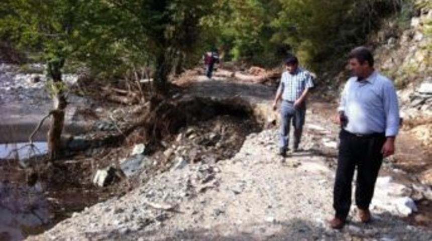 Selin Vurduğu Orman Yollarına Neşter