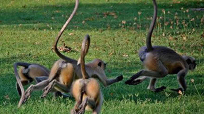 İşte d&uuml;nyanın en ilgin&ccedil; işleri