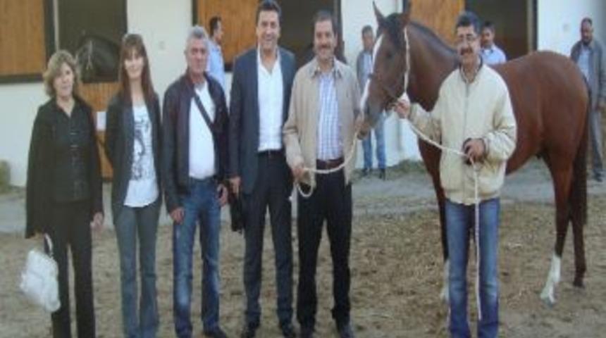 Yarış Atları İncelendi