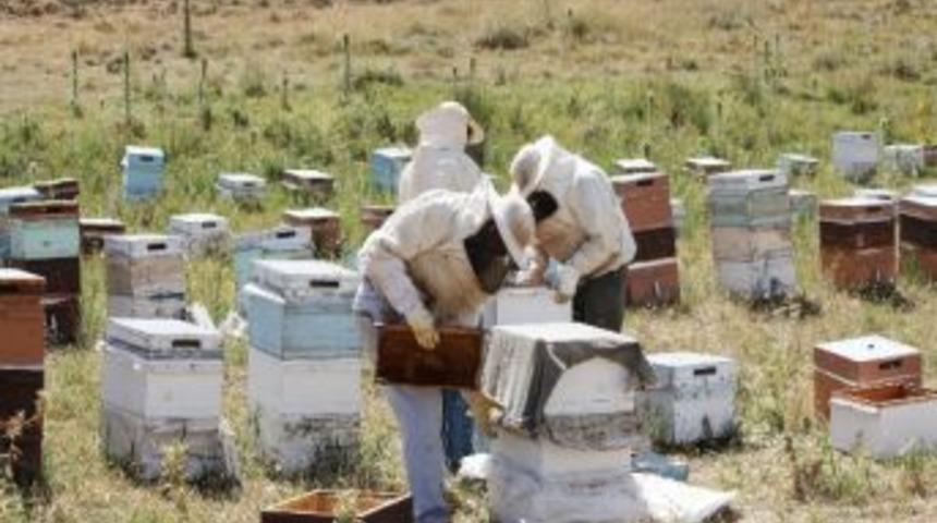 Ahlat&rsquo;ta Bu Yıl Bal Verimi D&uuml;şt&uuml;