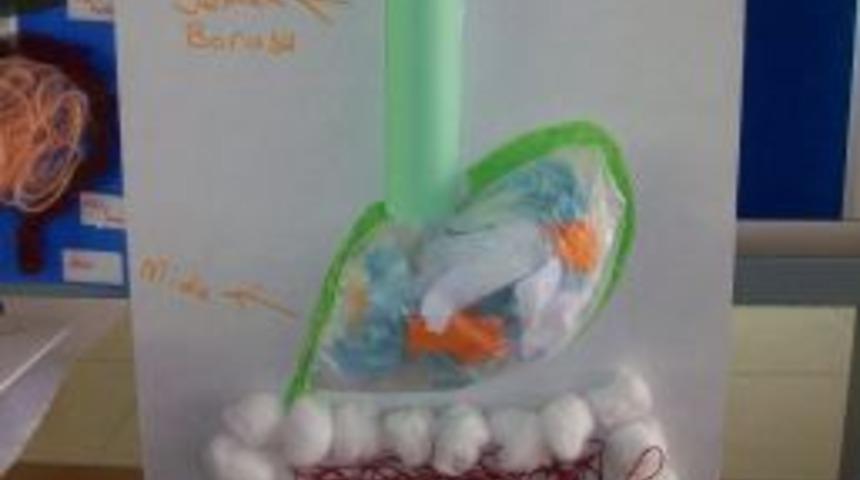 Bademli Koleji'nin Bilim Adamları