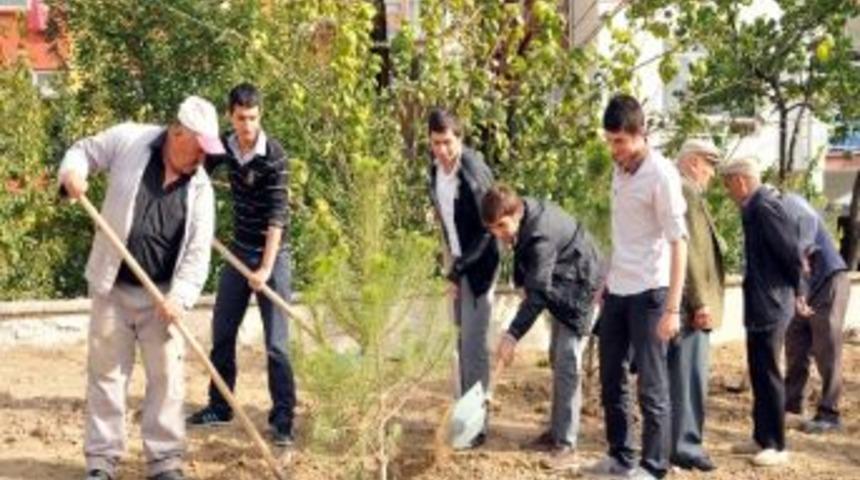 Ke&ccedil;i&ouml;renliler Birlikte Ağa&ccedil; Dikti