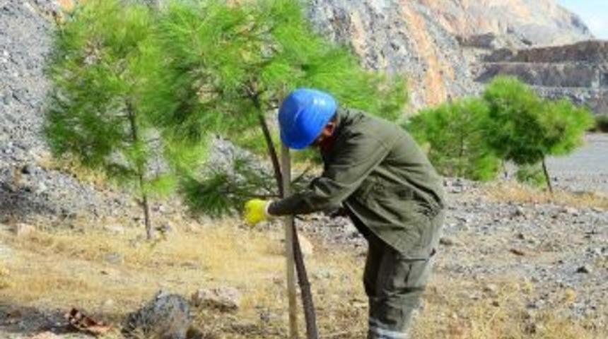 Belkahve Taşocakları Yeşil Vadi Oluyor