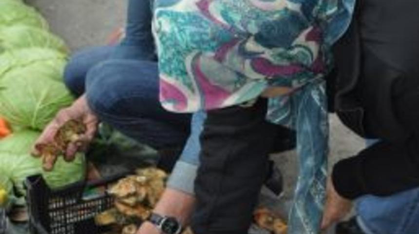 &Ccedil;ıntar Tezgahta Yerini Aldı