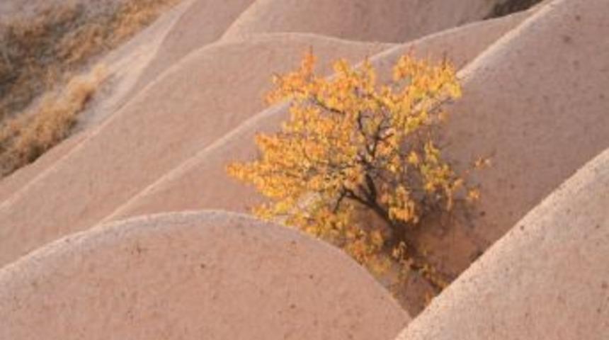 Kapadokya'da Sonbahar G&uuml;zelliği