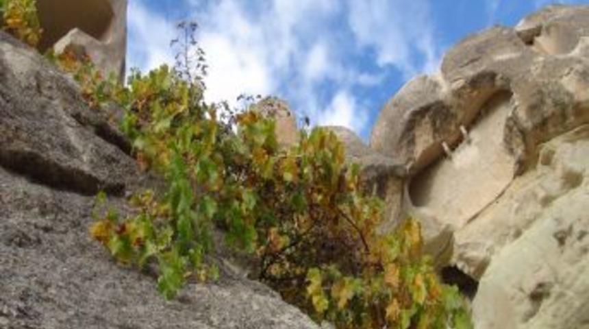 Kapadokya'da Sonbahar B&uuml;y&uuml;l&uuml;yor