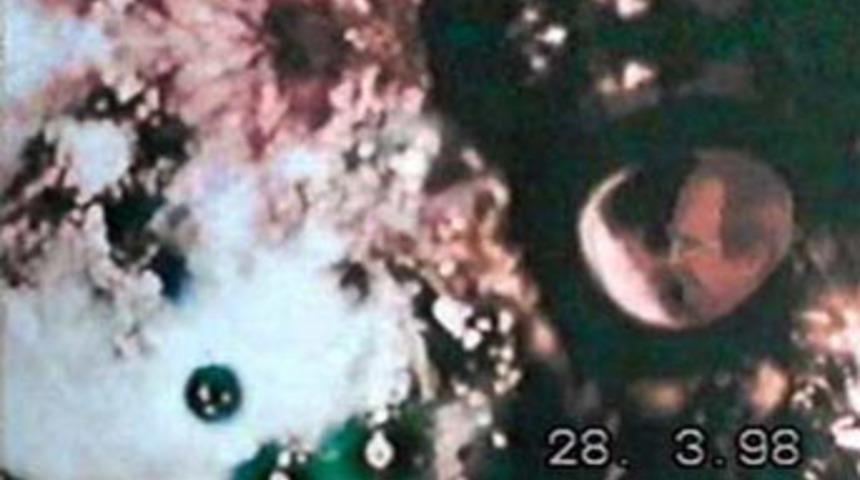 Tuhaf '&ouml;b&uuml;r d&uuml;nya' deneyleri