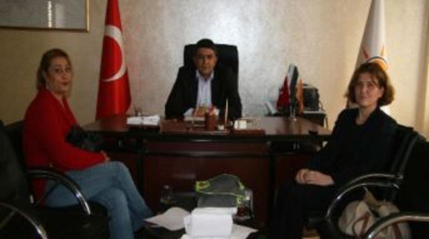 Hayvanseverlerden Başbakan Erdoğan'a Mektup