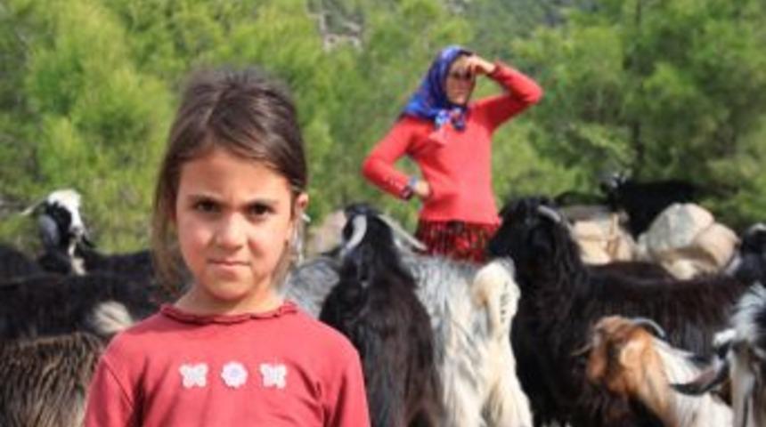 Sarıke&ccedil;ili Y&ouml;r&uuml;kler Sahile Indi