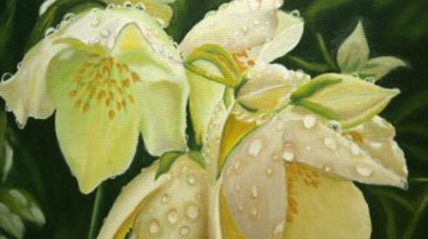 Tuvale Yansıyan Doğa: &ldquo;&ccedil;i&ccedil;ek Ve Kadın&rdquo;