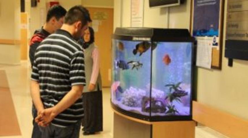 Akyazı Devlet Hastanesi Poliklinikler B&ouml;l&uuml;m&uuml;ne İki Adet Dev Akvaryum Yaptırıldı