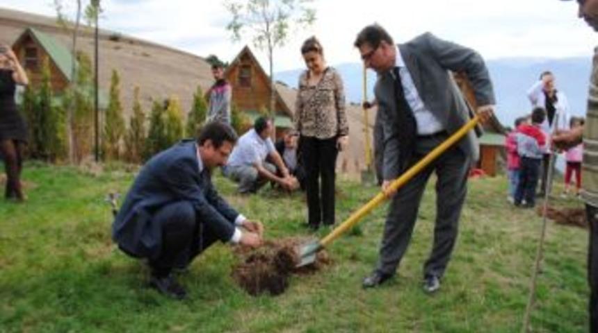 G&uuml;rsu&rsquo;da &Ccedil;am Fidanları Toprakla Buluştu
