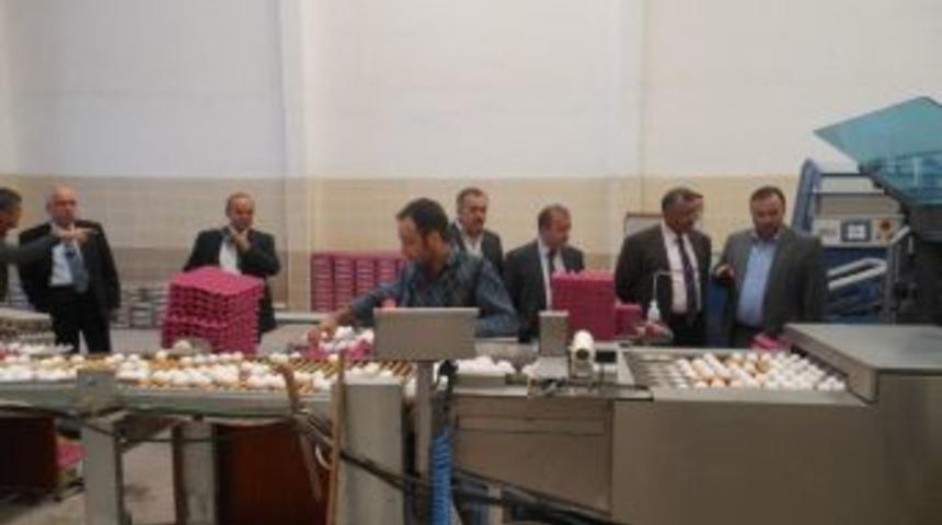 Vali Kenan &Ccedil;ift&ccedil;i'den 1 G&uuml;nde 3 İl&ccedil;eye Ziyaret