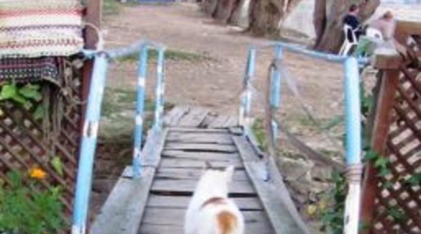 G&ouml;lc&uuml;k, Sonbaharı Sessiz Yaşıyor