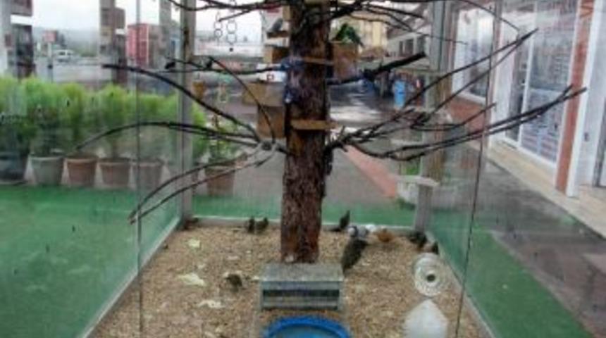 Tso Başkanı&rsquo;nın Hayvan Sevgisi