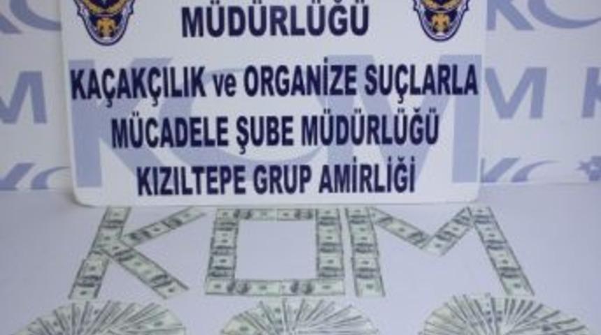 Mardin'de Sahte Dolar Ele Ge&ccedil;irildi