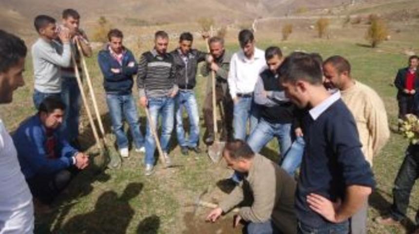 Hakkari&rsquo;de 500 Dekar Alana Ceviz Tohumu Ekimine Başlandı