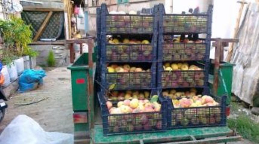 Elma &Uuml;reticileri Pazar Bulamamaktan Şikayet&ccedil;i