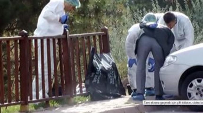 Kadın &Uuml;steğmen, Canına Kıydı