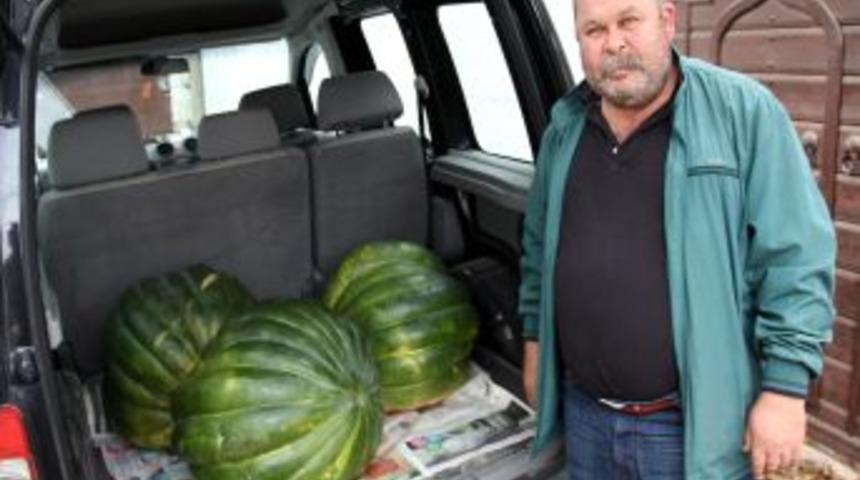 Yerli Tohumla 90 Kiloluk Bal Kabağı Yetiştirdi