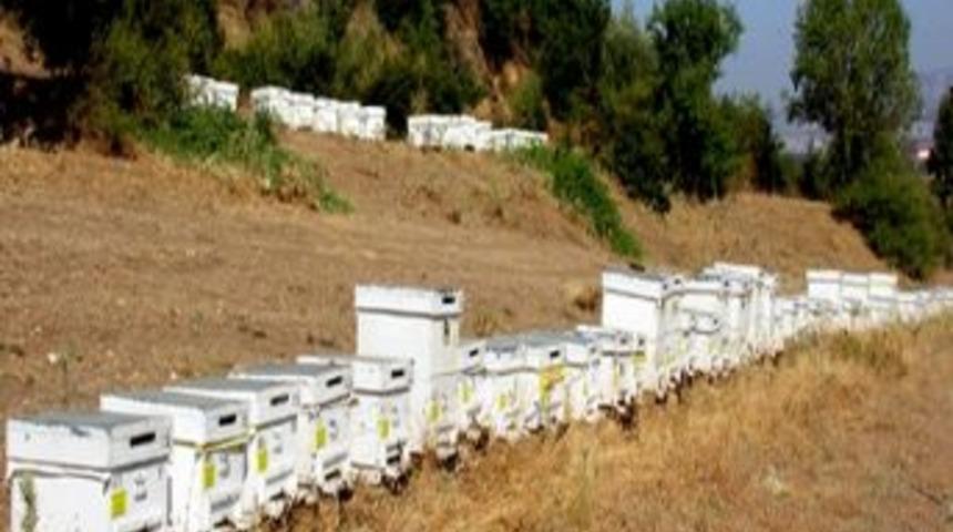 Arıcılara Destekleme M&uuml;jdesi