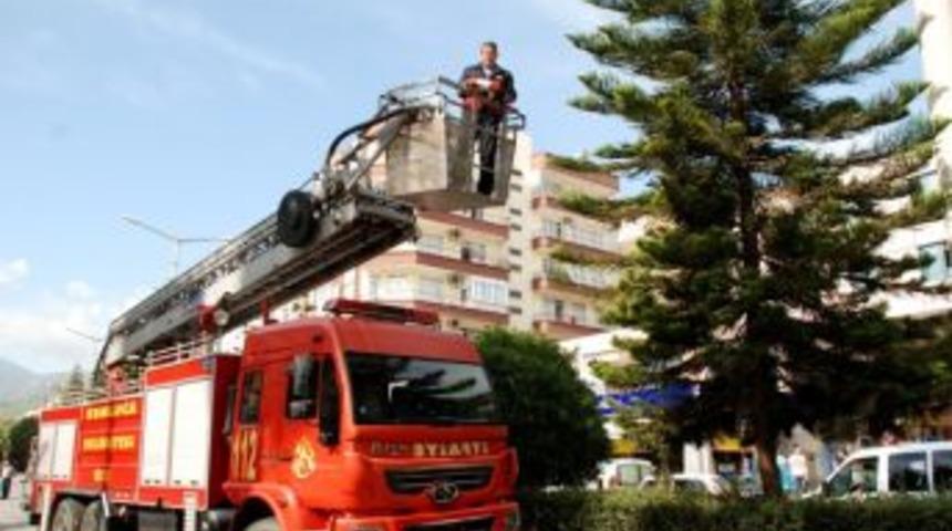 İtfaiye Ekibinden Yavru Kedi Operasyonu