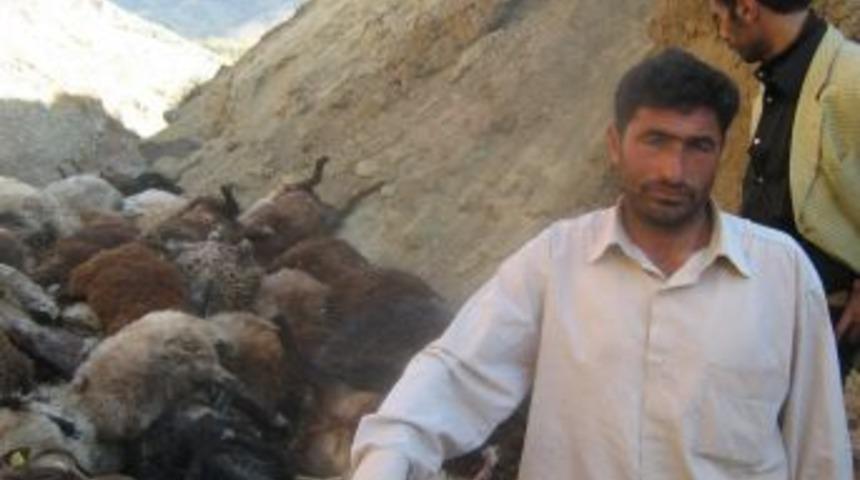 200 koyun kendini yardan attı