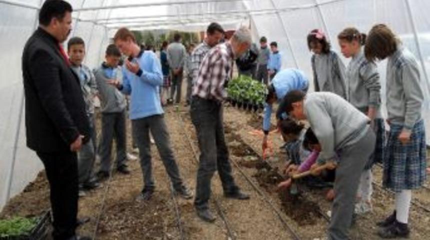 Osmancık Yibo &Ouml;ğrencileri Sera Kurdu