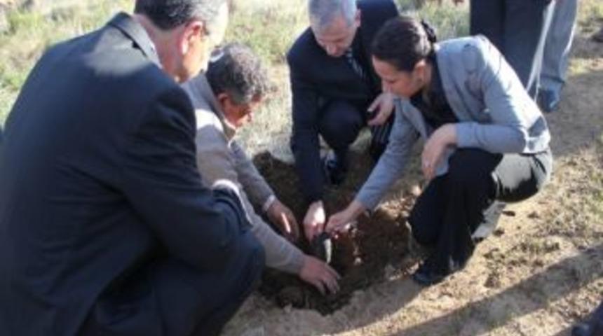 Armutlulu &Ccedil;ift&ccedil;ilere 6 Bin 500 Goji Berry Fidanı Dağıtıldı