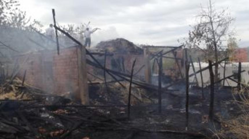 3 Kamyon Samanı K&uuml;l Oldu