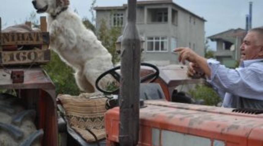 K&ouml;peği İle Sahibinin Dostluğu G&ouml;renleri Şaşırtıyor