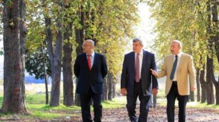 Başkanlar Arazide İncelemelerde Bulundu
