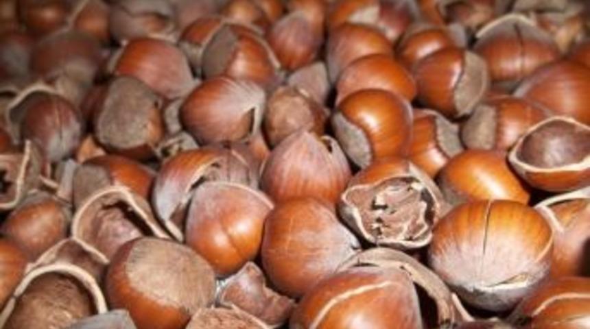 Kabuğu Kendinden 3 Kat Pahalı &Uuml;r&uuml;n