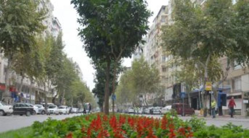 Zaimoğlu'ndan Başkan Aldırmaz'a Ziyapaşa Teşekk&uuml;r&uuml;