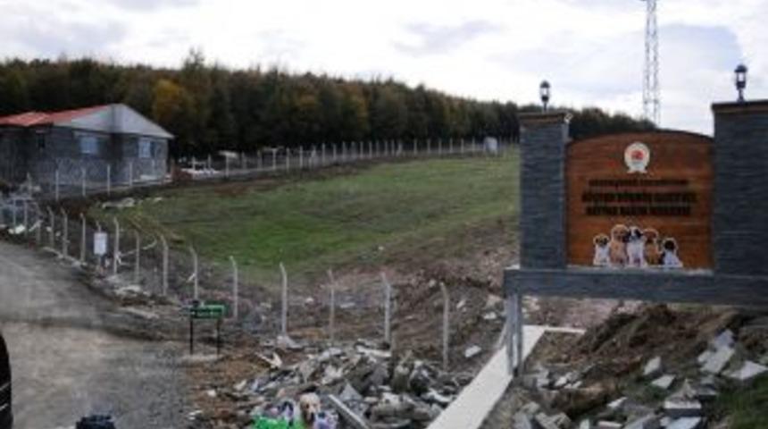 T&uuml;rkiye&rsquo;nin En B&uuml;y&uuml;k Barınağında Hayvan Mezarlığı Da Yapılacak