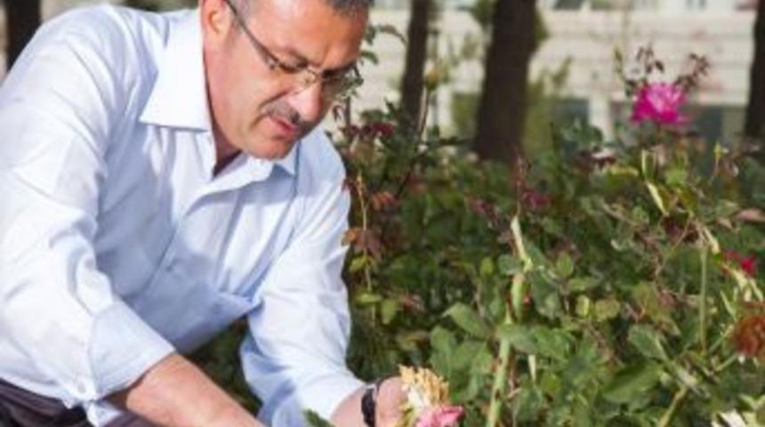 Başkan K&ouml;şker Peyzaj İşlerine Merak Sardı