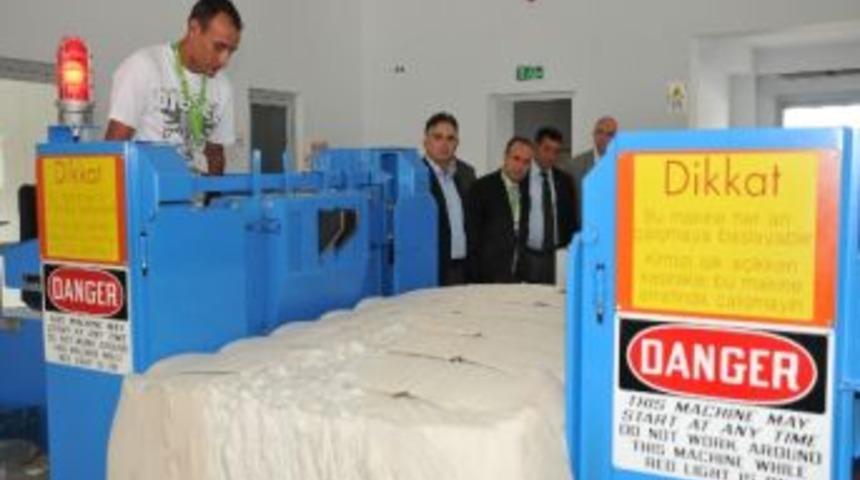 Elidaş, Pamuğa Can Veriyor