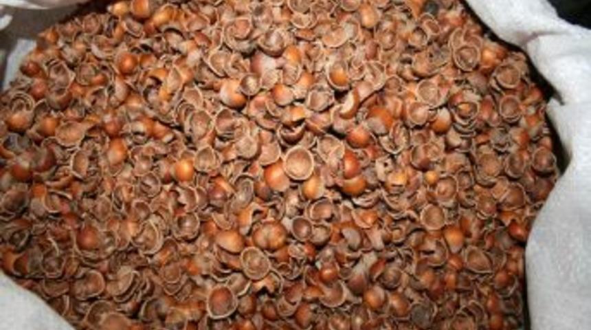 Fındık Kabuğunun &Ccedil;uvalı 17.5 Tl