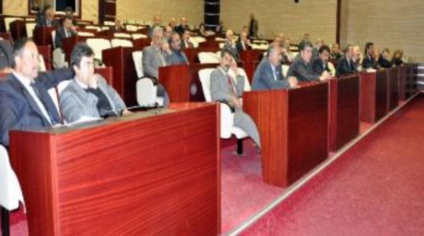 İl Genel Meclisi &Uuml;yelerinden Ara&ccedil; Tahsisine Tepki